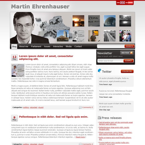 Wordpress Theme for MEP Martin Ehrenhauser Design por Muaddib