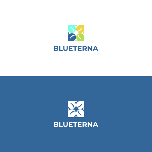 Blueterna Branding contest Design by GoodTime_