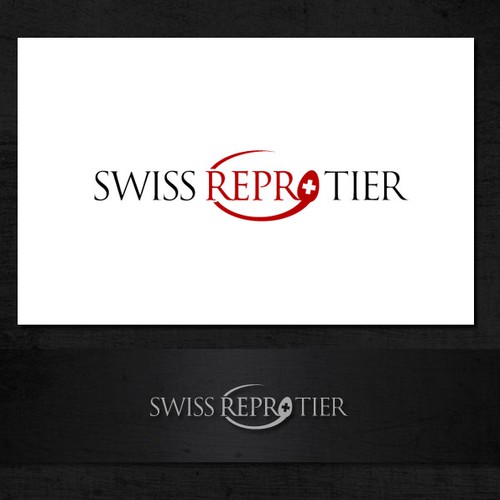 Logotipos propuesta en el concurso por sgmediaservice