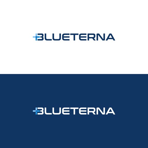 Blueterna Branding contest Design by The Sains