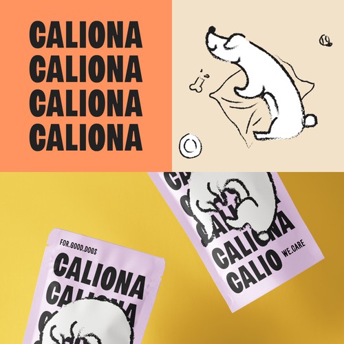 Logo & brand guide contest entry by rdelahozfreyle