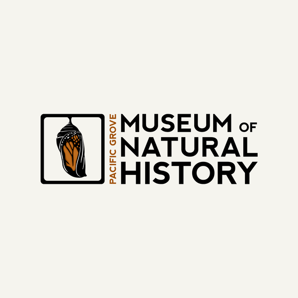 Museum of Natural History
