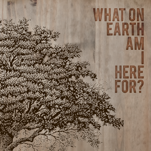 Book cover redesign for "What on Earth Am I Here For? The Purpose Driven Life" by Rick Warren Design by twelvestones