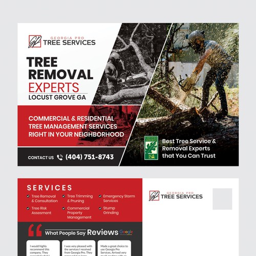 Branding for a Tree Removal Service Diseño de Dzine Solution