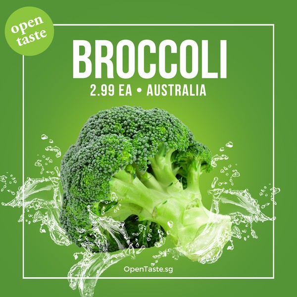 Design by shanngeozelle titled "banner for opentaste"