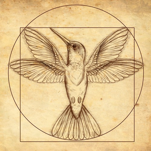 Design di Leonardo da Vinci - Hummingbird Drawing di lofosparalogos