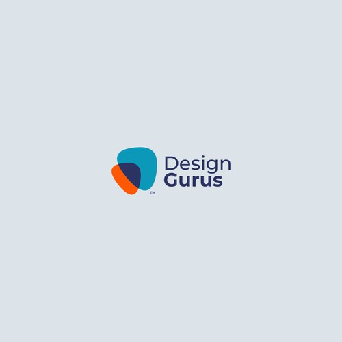 DesignGurus.com  --  NEW AGENCY Design by VisibleGravity™