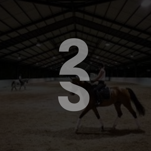 "SS" or "2S" Brand Mark for Double S Performance Horses Design by Ling''
