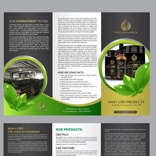 Create a brochure for Tru Organics High CBD Hemp Oil Products