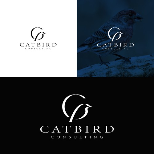 Sitting in the catbird seat! ...Logo design Design by harivas