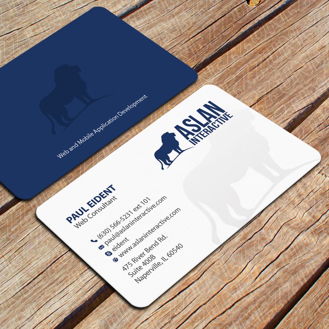 Aslan Interactive Business Card