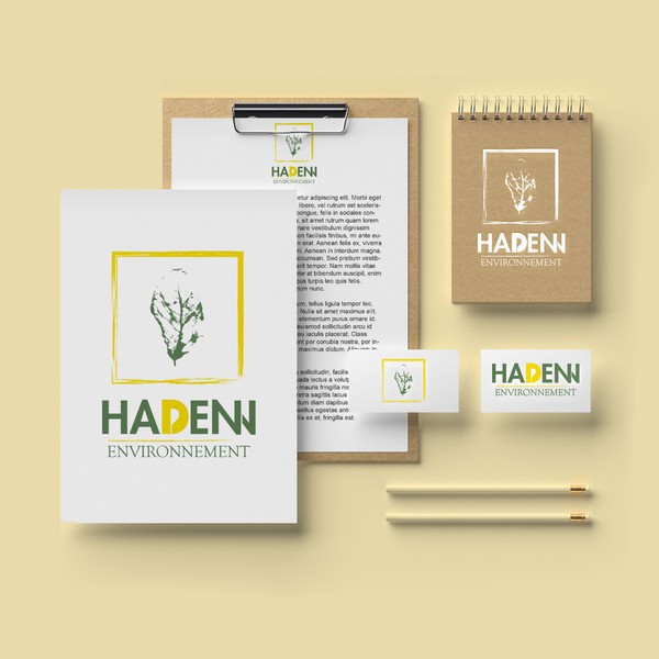 Hadenn environnement charte graphique