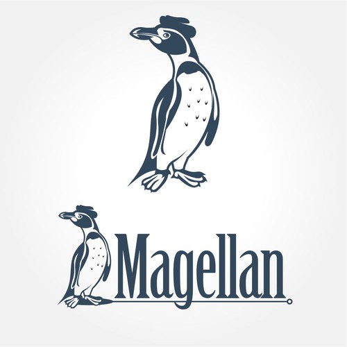 Logotipos propuesta en el concurso por mgeorge