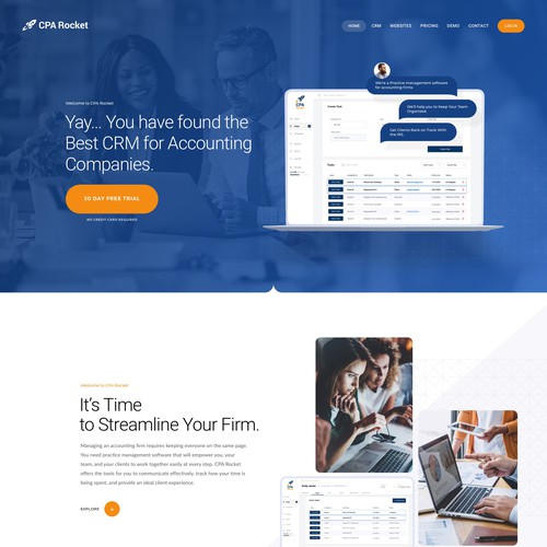 Website Design for our Accounting CRM Software Design von keilaMaria