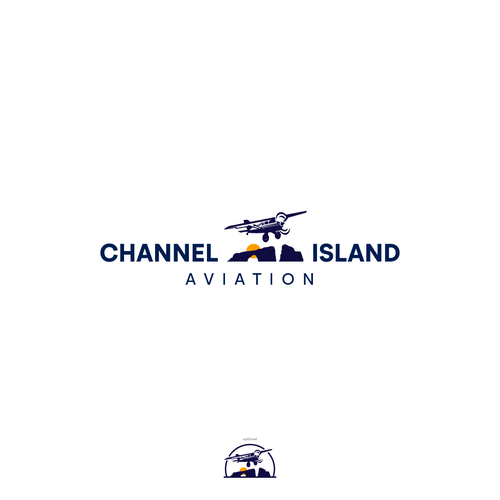 Classic Youthful Flight School catering to future pilots and luxury jet owners Design by Ankh*