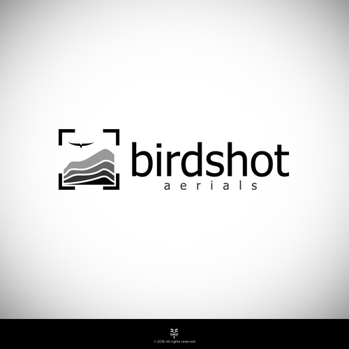 Create a high-flying view for Birdshot Aerials Design by Mastah Killah 187