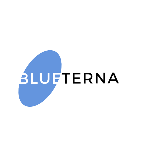 Blueterna Branding contest Design by BrandWorks™