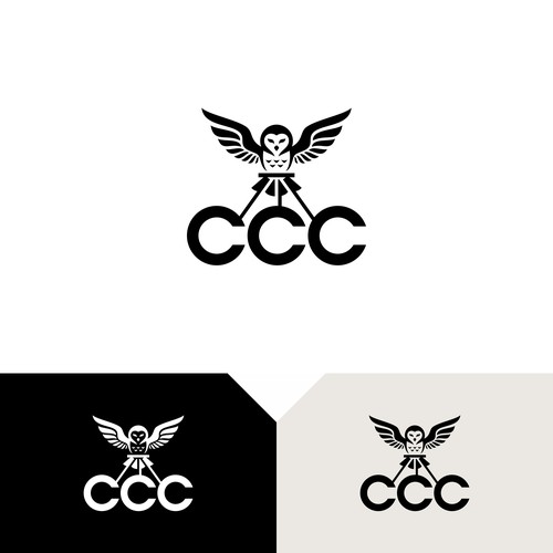 Business service logo with owl symbol Design by DoubleSides