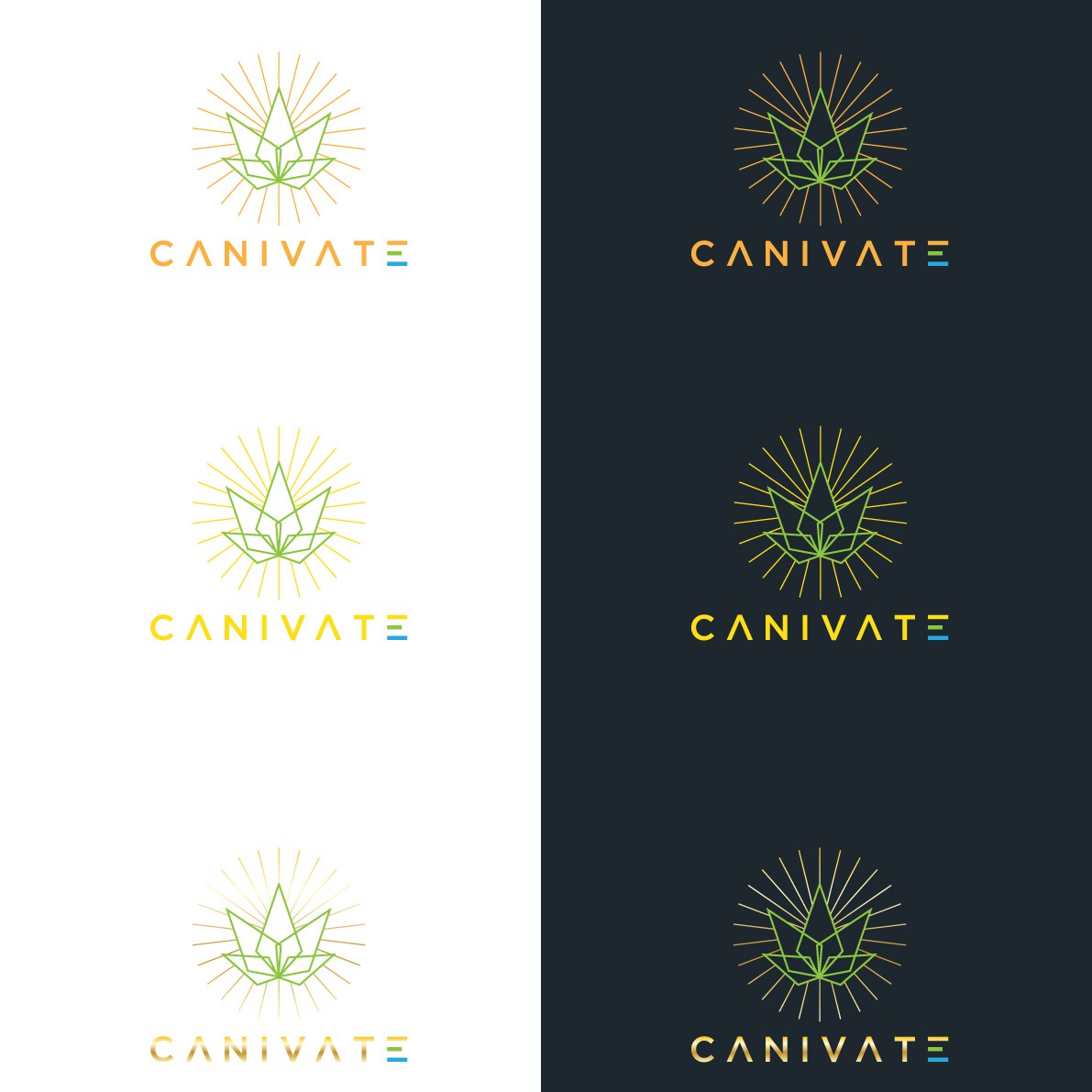 Canvas Logos - Free Canvas Logo Ideas, Design & Templates