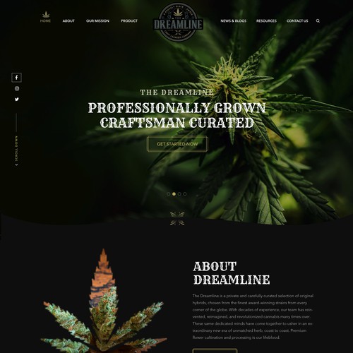 Designs The Dreamline Craft Cannabis Website Design WordPress theme