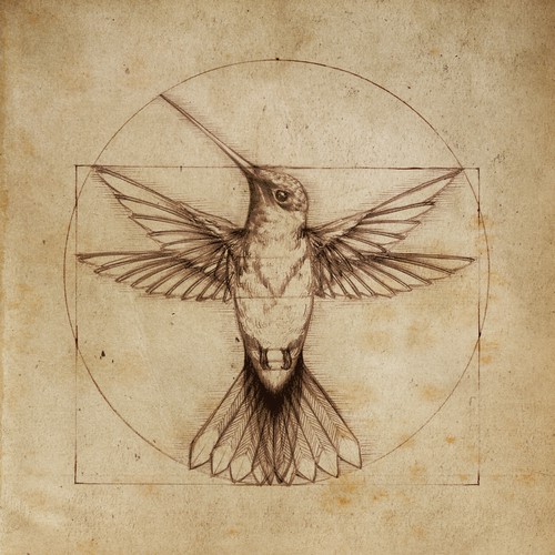 Design di Leonardo da Vinci - Hummingbird Drawing di Tarin Yuangtrakul