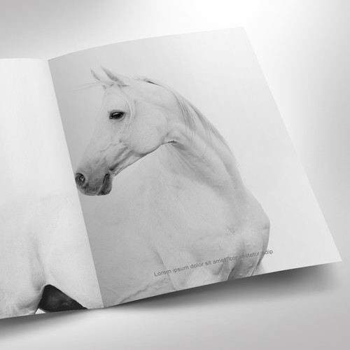 Brochure contest entry by Vivan M