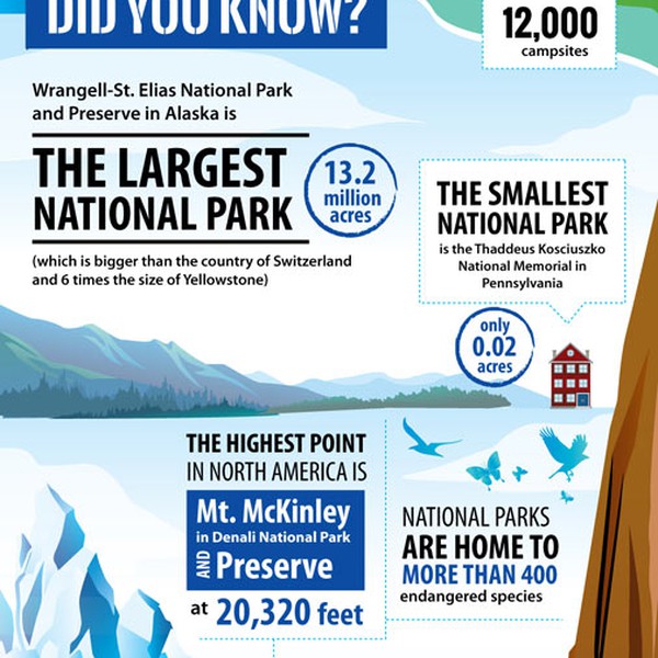 illustration for National Park Foundation