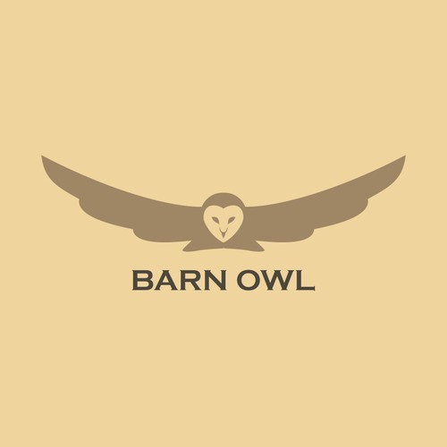 Hoo Doesn T Love Owls Create A Logo For Barn Owl A New