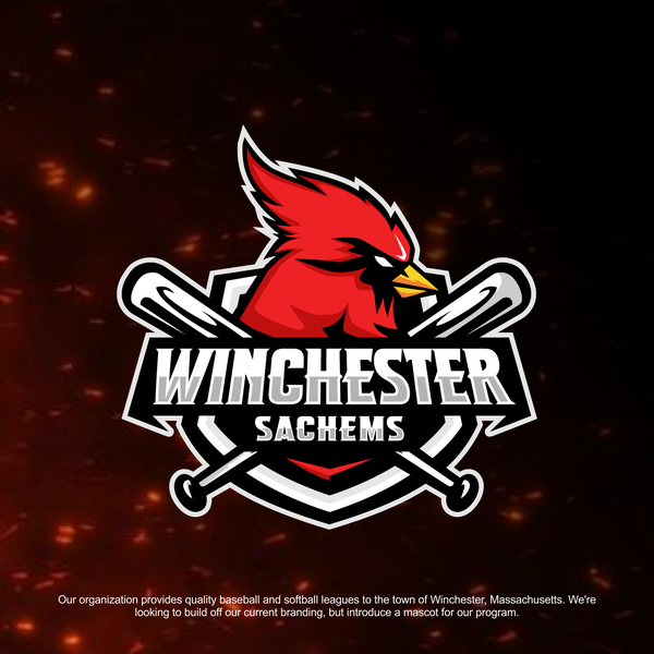 organization provides quality baseball and softball leagues