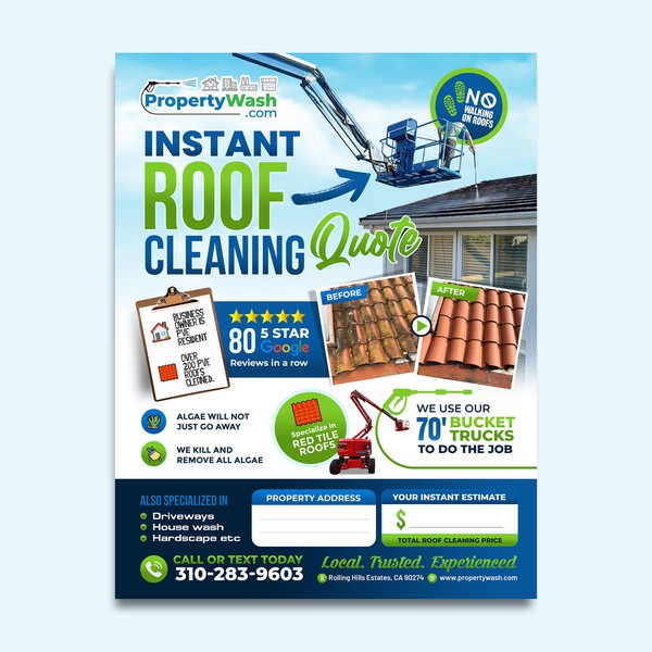 Instant roof cleaning flyer