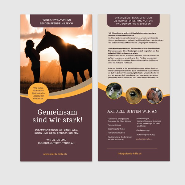 Concept for a holistic horse therapy network in Switzerland