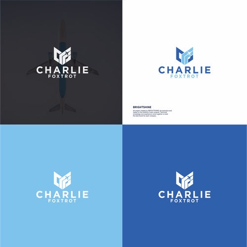 Aviation Company LOGO Design by brightshine