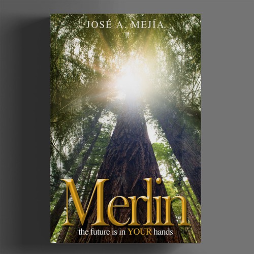 Book Cover Design for a  Personal Development Book Design by BeyondImagination