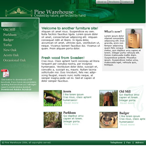 Design of website front page for a furniture website. Design by SaturnFirefly