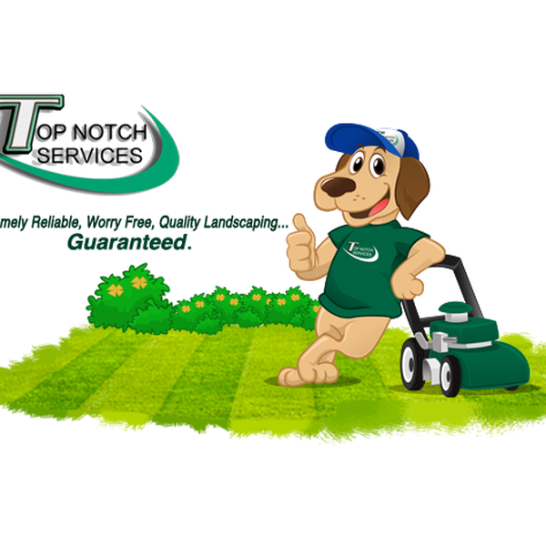 Help Top Notch services with a new art or illustration