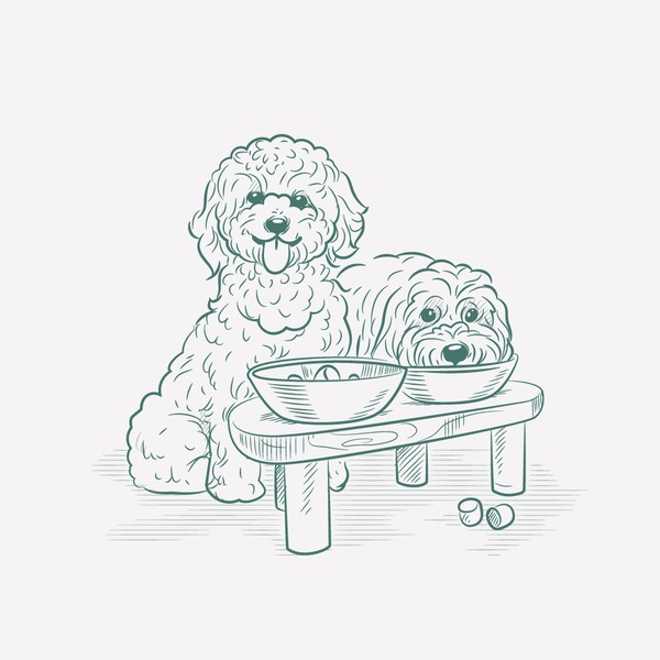 Illustration of dogs