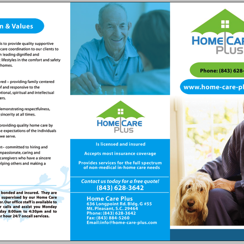 Home Care Plus Brochure and single page flyer | Print or packaging ...