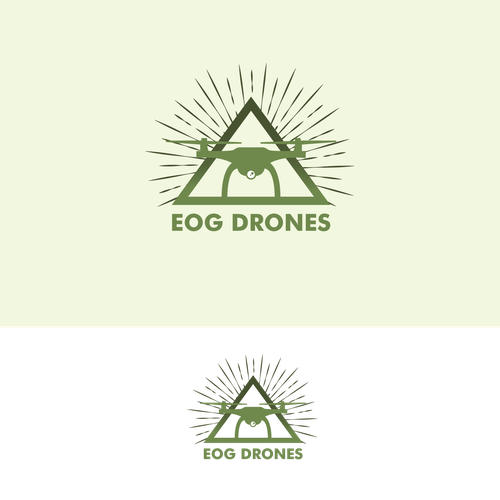 Custom Drone Company Logo Design by marziam