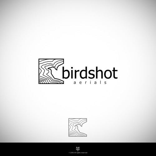 Create a high-flying view for Birdshot Aerials Design by Mastah Killah 187