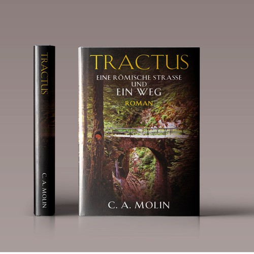 Book cover contest entry by JCNB