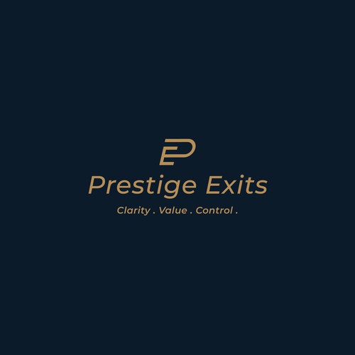Logo & Brand for Boutique Advisory Design by Netra_Air