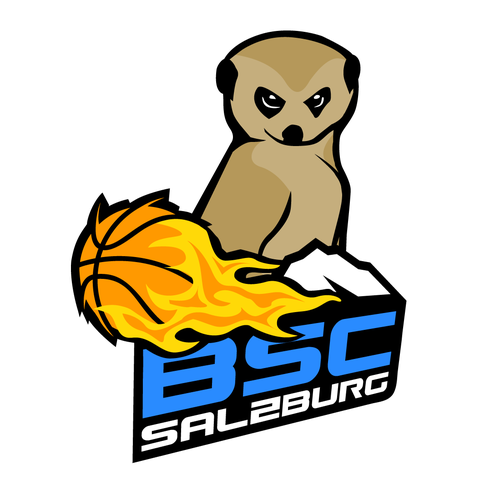  contest entry by Ronaru