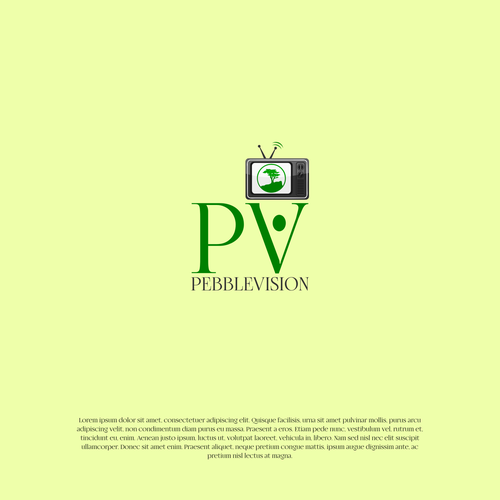 PebbleVision Design by Villana