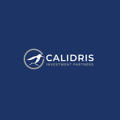 New Private Investment Firm Design by LOGStudio