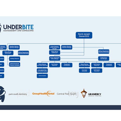 Organizational Chart for Dental Group Other design contest