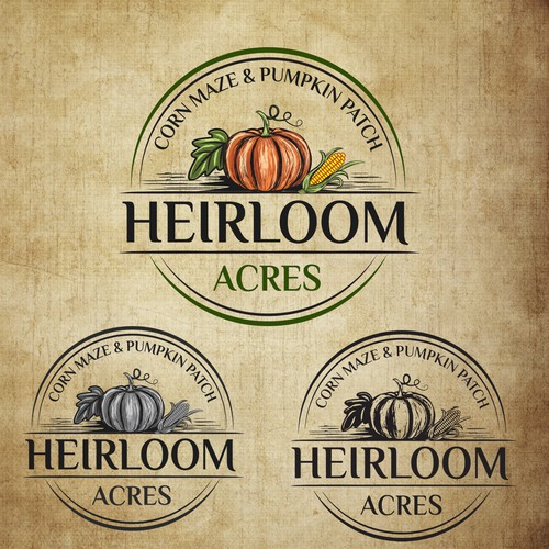 pumpkin patch logo