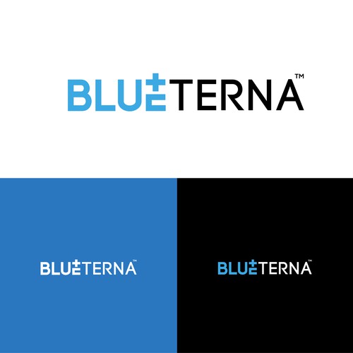 Blueterna Branding contest Design by Imam H.