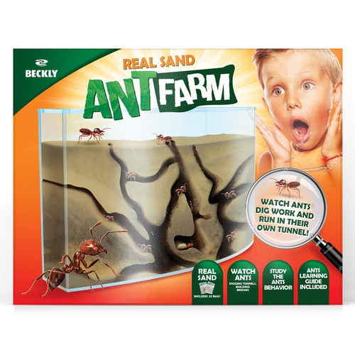 Eye Catching Ant Farm Box Design Design by tomdesign.org