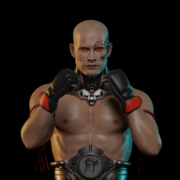 Bionic( Cyborg) Fighter