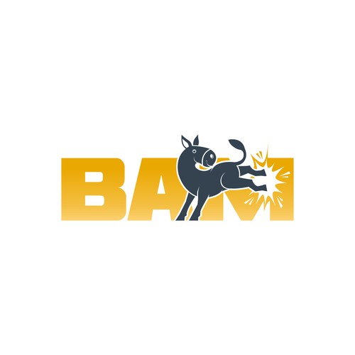 BAM *updated 6/12 read brief Design by Dendir